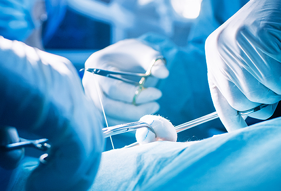 Plastic Dreams bietet ein angenehmes und patientenzentriertes Klima Plastic Dreams bietet eine auf Ihre individuelle Praxis- oder Kliniksituation maßgeschneiderte Durchführung von Narkosen bei plastisch-chirurgischen Operationen